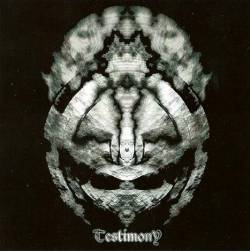 Testimony (FIN) : Testimony